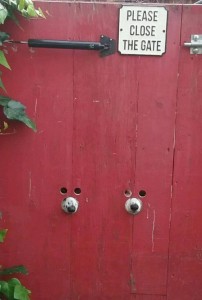 16473204_10154352978182005_7252112039985289060_n