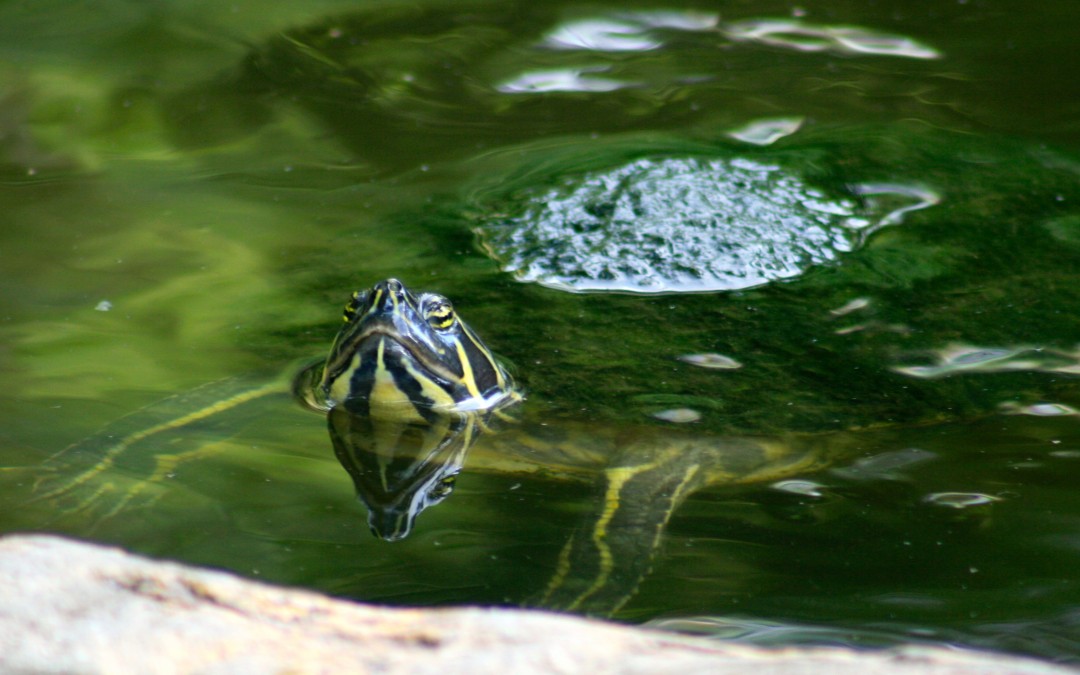 They May Try to Take You Down – Get Up and Keep Going