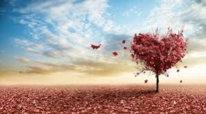 images-4