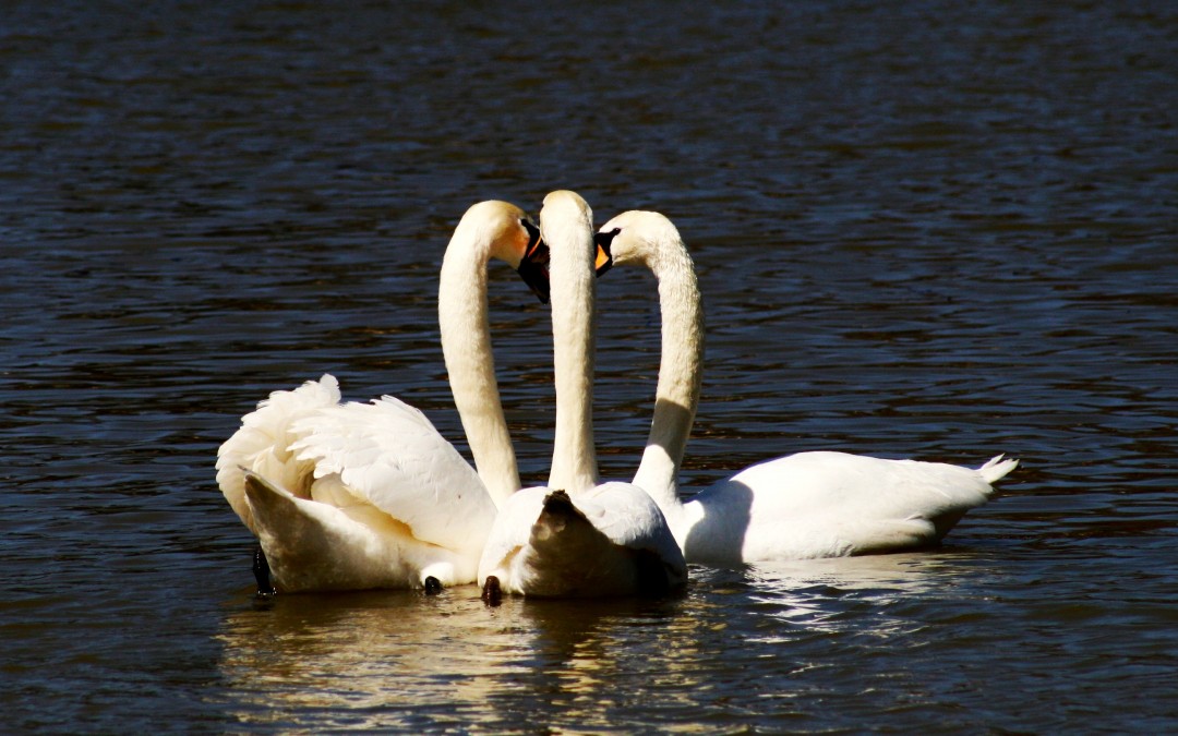 Numerology: The Energy of The “3”