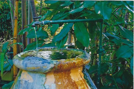 Today We Celebrate Our Home; Planet Earth